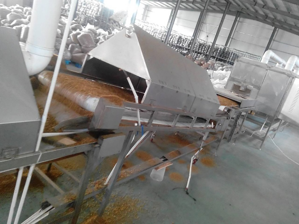microwave drying machine for dried mealworms manufacturing-2